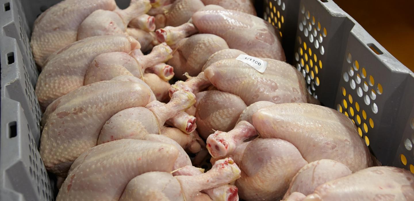 Frozen poultry meat