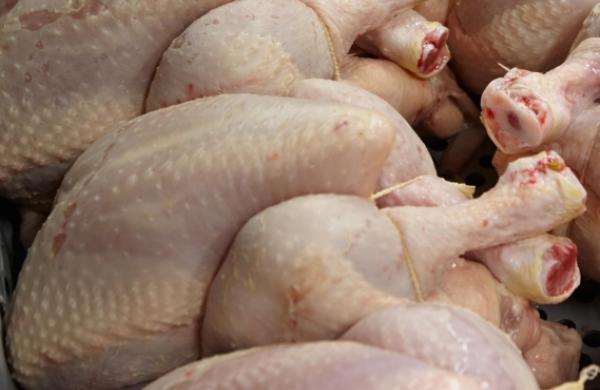 Frozen poultry meat