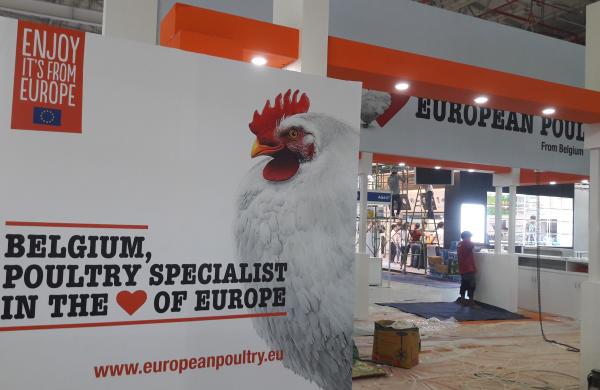 European poultry 