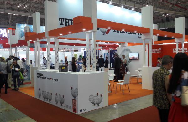 VLAM at FHV 2017 VLAM at FHV 2017
