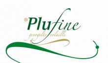 PLUDIS