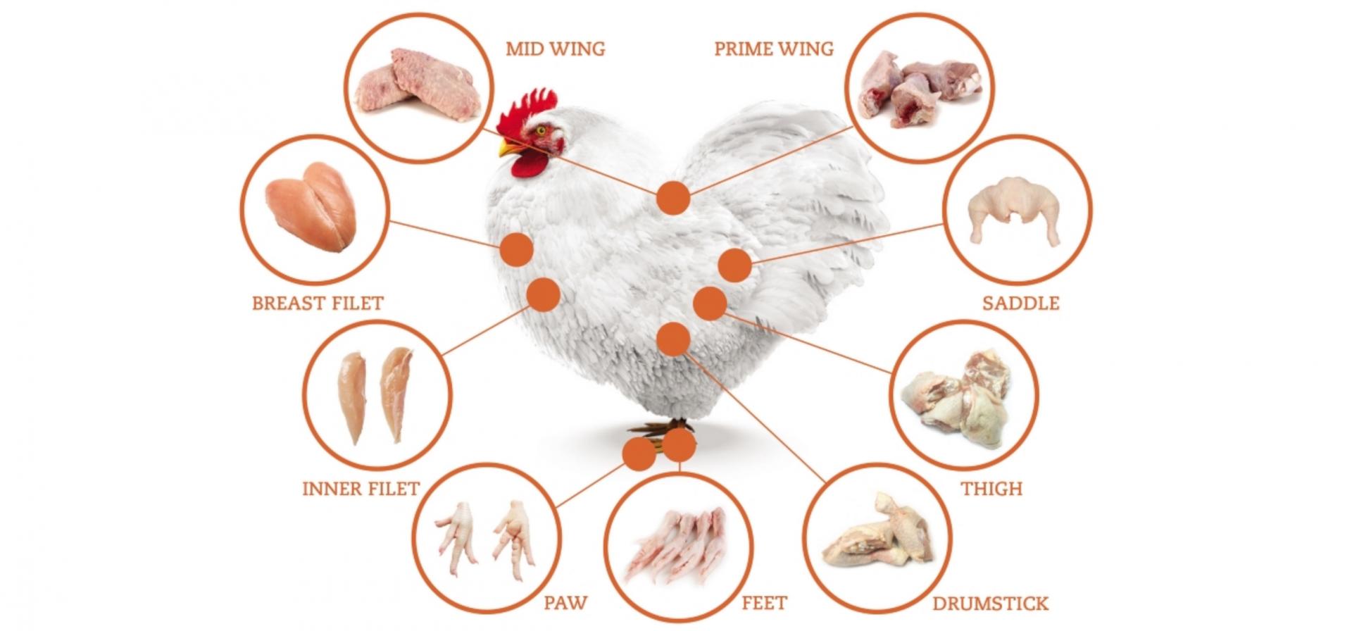 Chicken parts Chicken parts