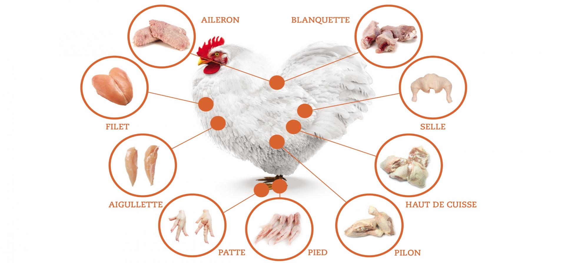 Parties de poulet Parties de poulet